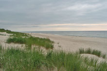 Strand an der Kurischen Nehrung in Russland