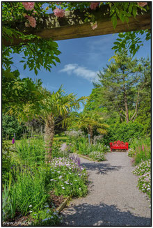 Blarney Stone#Blarney Castle#Irland#Gärten#Roland Valter#rolva#Natur-Fotografie#Aachen #Poison Garden