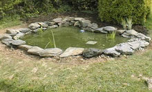 nature pond with blanket weed