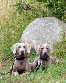 Aragon & Freya