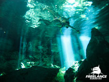 Snorkeling tours at Playa del Carmen, Cenote, Cozumel and Whaleshark