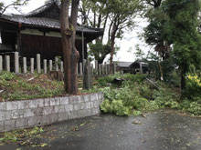 台風21号被害