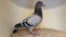 151, Bild vom 17.09.2025