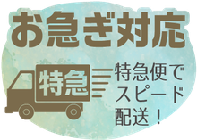 お急ぎ対応特急便でスピード配送