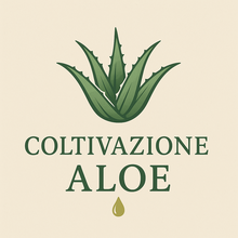 pianta di aloe aborescens e pianta di aloe vera 