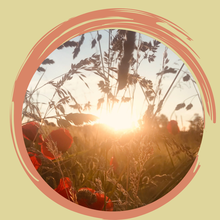 Wenn sich Eltern trennen, ist gut Kommunikation und Achtsamkeit wichtig im ganzen Prozess.