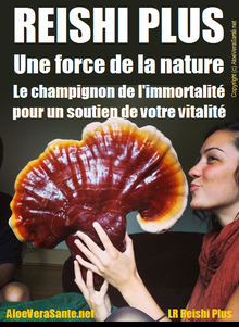 Une force de la nature pour un soutien de votre vitalité, utilisée en médecine chinoise depuis 4000 ans et connu aussi sous le nom de lingzhi !