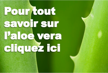 Aloe Vera Santé: histoire, composant etc