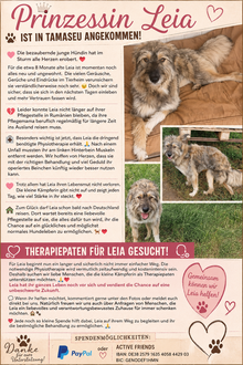 Zum Vergrößern bitte anklicken