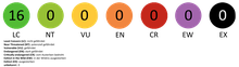 Rote Liste Status der Familie der Flughühner.