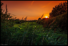 Sonnenuntergang in der Erfder Feldmark (08/2014)