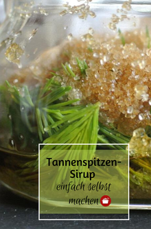 Tannenspitzensirup #tannenspitzensirup #sirup #fichtenhonig #frühlingsrezept