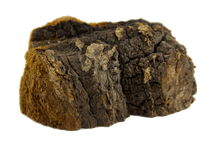 Bio Chaga