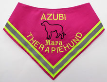 Therapie Assistenzhund Halstuch / Therapiehund, Azubi