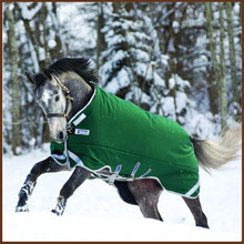 Reitsport Heiniger - Blogeintrag Winterdecke Horseware Rambo Turnout Heavy mit Leg Arches 400gr.