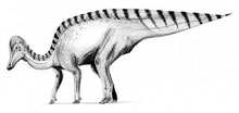 Bild eines Corythosaurus