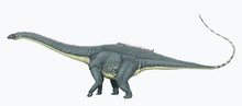 Bild eines Diplodocus