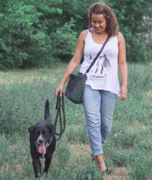 Hunde, Katzen, Tier Zeichnungen, Art, 