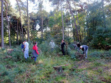 Arbeitseinsatz Ohligser Heide