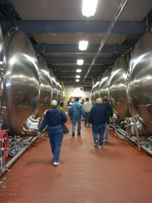 Discover the Budweiser Brewing Process