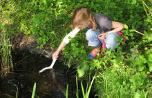 Keschern im Teich - Bettina Schroeder