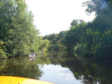 Bootstour auf der Schwentine