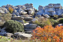 Antequera - El Torcal