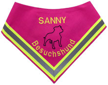 Besuchshund, Schulhund, Boxer, Reflektorband