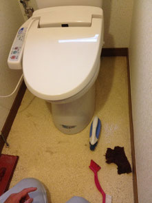 クリーニング前の写真です。