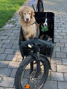 Bambi und Bella