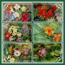 Some Jamaican flowers, Marianne North, 1870s