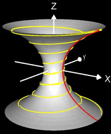 Katenoid Rotationskörper mit Helix