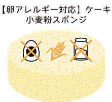 【卵アレルギー対応】ケーキ　小麦粉スポンジ