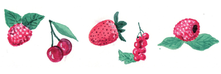Framboiseraie ballaison fruits