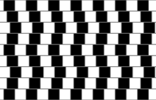 Le linee orizzontali e verticali che delimitano i quadrati di questa scacchiera appaiono non parallele.