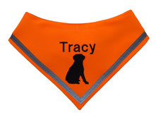 Leuchttuch, Reflektor, Hundehalstuch reflektierend, leuchtend, neonorange, Pfoten, bestickt, Labrador