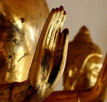 ThetaHealing, Quantenheilung, energetische Wirbelsäulenaufrichtung - die Heilmethoden aus den SeelenPhönix