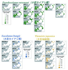 図6 大槌湾内の動物プランクトンの分布(Minegishi et al., 2023 を改変)
