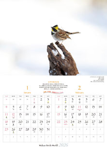 1〜2月