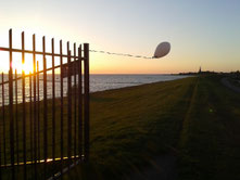 Christa Weßel (2017) Luftballon