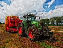 Traktor mit Anhänger auf Feld