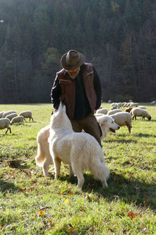 Herr Lotz mit seinen beiden Herdenschutzhunden. Foto: I.Till