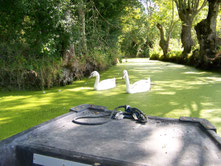 La côte et les marais