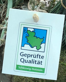 Gütezeichen „Geprüfte Qualität Schleswig-Holstein“ für Zierpflanzen.