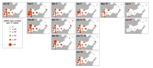 図5 大槌湾内のサケ稚魚の分布(Minegishi et al., 2023 を改変)