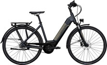 Xxl E Bike 2020 E Bikes Bis 200 Kg Gesamtgewicht Jetzt