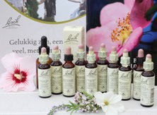 Bach bloesemremedies Zeist