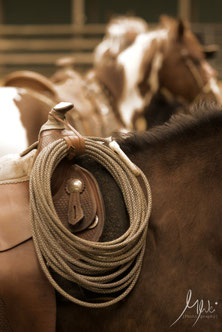 Aufnahmen vom Ranch Roping Rodeo bei UJO Saddle & Tree