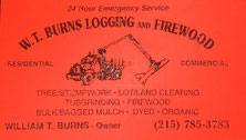 burns-services