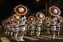 第48回 鳥取しゃんしゃん祭